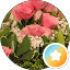 Sivan Dor Avatar